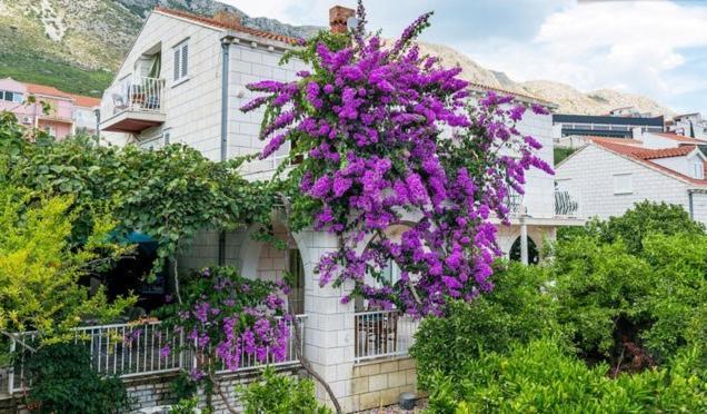 Apartments Husanovic Mokošica Zimmer foto